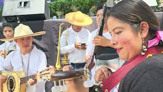 Orquesta de Patamban en la toma de protesta al Ayuntamiento de Tangancícuaro cotidiano399 [upl. by Nema]