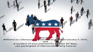 Colorado Caucus 101 Voting Democrat [upl. by Assenar]