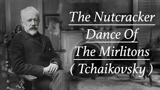 TCHAIKOVSKY 🇷🇺 The NutcrackerDance Of The Mirlitons 🇷🇺 nutcracker cascanueces tchaikovsky [upl. by Jeromy]