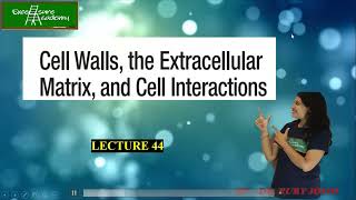 Cell Biology Lecture 44 Cadherins Gap Junctions Plasmodesmata trending [upl. by Cowen]