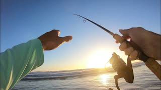 Surf Fishing In San Diego  How To [upl. by Atirahc]