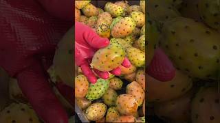 Juicy cactus fruits you like it lets enjoy our life shorts [upl. by Ariak]