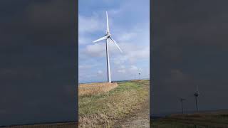 awesome enercon e70 wind turbine blade sounds at stibn wind farm calm wind greenenergy asmr [upl. by Aniar835]