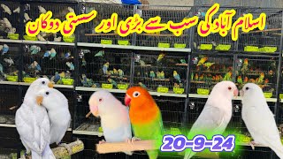 Islamabad ki sub se bari sasti shop lovebirds pr 1 or offer Islamabadpets345 [upl. by Drofnas570]