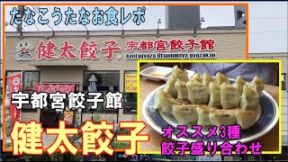 宇都宮餃子館・3種類盛り合わせ：食レポシリーズ（たなこうたなお）＃宇都宮餃子 ＃餃子 ＃宇都宮餃子館 ＃食レポ たなこうたなお ＃Gキング [upl. by Alliscirp325]