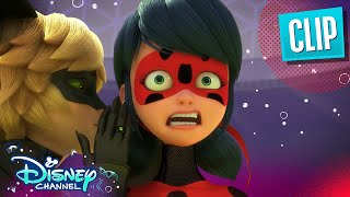 PenalTeam  Miraculous Ladybug  disneychannel x Miraculous [upl. by Amii543]