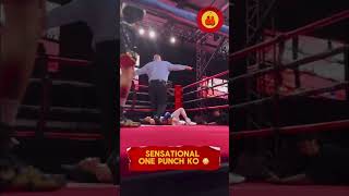 Sensational One Punch KO😱 [upl. by Payson]