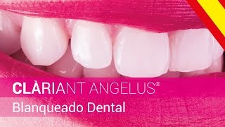 CLÀRIANT ANGELUS®  Blanqueado Dental  Asociación Técnica [upl. by Fiertz]