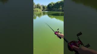 Best fishing rod and fishing baits youtubeshorts [upl. by Arocet]