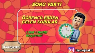 Gelen SORULAR29  Hücre zarında madde geçişleri  Ozmos Hipertonik Hipotonik  İzotonik [upl. by Werd]