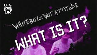 WhiteBoyz Wit Attitude  What is it  WhiteBoyz wit attitude review  No seriously wtf is this [upl. by Shel179]