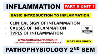 Inflammation  Clinical Signs  Causes  Types  Ch 2 U 1  Pathophysiology B Pharm 2nd Semester [upl. by Ylro]