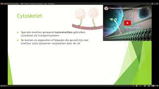 Klas 4 VWO Thema 1 Inleiding in de biologie basisstof 4 organellen deel 3 [upl. by Persse712]