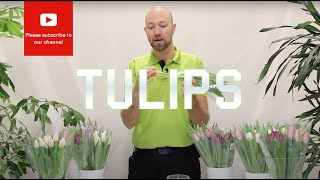 Tips and tricks Tulips [upl. by Delle]