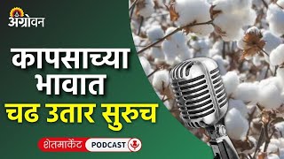 Cotton Soybean Market कापूस बाजारभाव सोयाबीन भाव कांदा बाजार ज्वारी दर  Agrowon [upl. by Orimlede]