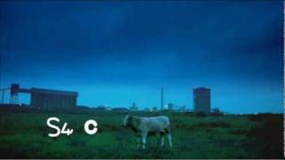 S4C  Cow Ident [upl. by Rundgren455]