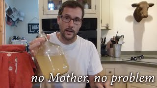 Apple Cider Vinegar ACV Made FROM SCRATCH [upl. by Parthena]