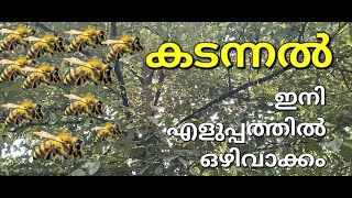 കടന്നൽ കൂട്  എളുപ്പത്തിൽ ഒഴിവാക്കാം  Kadannal koodu Theneecha  Malayalam [upl. by Lrig584]