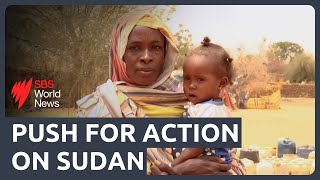 Sudan makes public call for peace while army ramps up attacks on paramilitary forces [upl. by Thad]