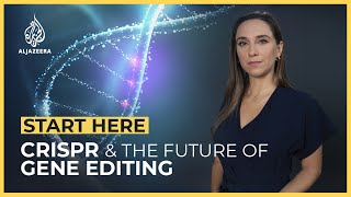 CRISPR What is the future of gene editing  Start Here [upl. by Aicnorev]