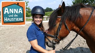 Anna lernt Reiten  Die ersten Reitstunden  KiKABR Reportage für Kinder  Trailer [upl. by Okemak960]