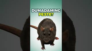 Pest Reject Pro  Dumadami [upl. by Lore563]