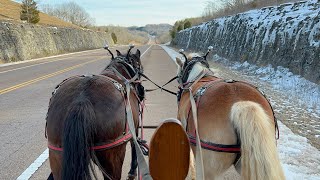 Star the Percheron cross amp Barbie the Haflinger on a Winter Wagon Ride ⛄️ [upl. by Alih]