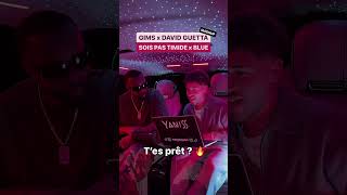 Gims x David Guetta remix Tu valides [upl. by Atiseret881]