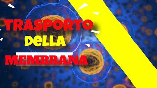 Trasporto attivo e passivo della membrana cellulare [upl. by Relyuc417]