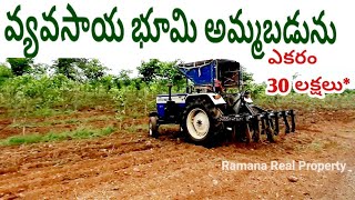 వ్యవసాయ భూమి అమ్మబడును ఎకరం 30 లక్షలుSPP farming farmingland farmer realestate hyderabad [upl. by Anen819]