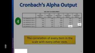 Reliability test Interpret Cronbachs alpha output in SPSS [upl. by Argela]