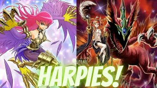 Playing This Awesome Harpies Deck In The Water Wind Event Yugioh Master Duel [upl. by Sobel917]