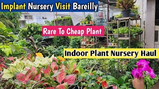 Indoor Plant Nursery In Bareilly👏Implant Nursery Visit👌Plant Nursery Visit👌Online Nursery👌 [upl. by Oreves]