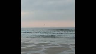 Ostend beach 592024 oostende strand [upl. by Weatherby]