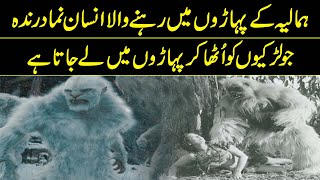 NASA Found The Yeti In The Himalayas  Reality Facts [upl. by Sirois827]