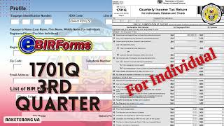 HOW TO FILL OUT 1701Q QUARTERLY INCOME TAX RETURN EBIR FORM 2022 [upl. by Hgielrac]