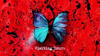 Ed Sheeran  Visiting Hours Official Lyric Video [upl. by Hcardahs717]