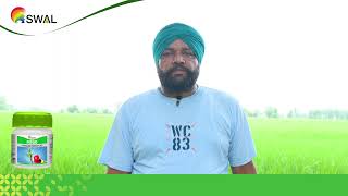 SWAL Feego  Baljeet Singh  Testimonial [upl. by Bowers325]