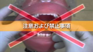 伝達麻酔実習模型・実習説明動画 ダイジェスト版 [upl. by Odnomar]