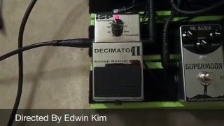 ISP Technologies Decimator II Noise Reduction Pedal Review [upl. by Yarezed]