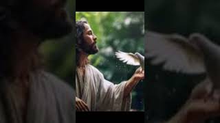 உண்மைதான் நம்பி இருக்கிறோம்jesussongintamil tamilchristion shortsongs tamilchristsongs [upl. by Smoot]