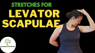 Levator Scapulae Stretches ✨ Live Well With Dr Mel [upl. by Nirac]