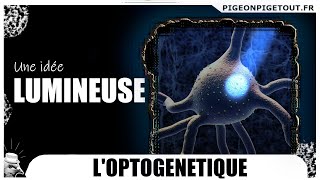 LOPTOGÉNÉTIQUE une idée lumineuse [upl. by Bronder637]