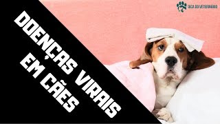 PRINCIPAIS DOENÃ‡AS VIRAIS EM CACHORROS  O QUE DEVO SABER VETERINÃRIO EXPLICA [upl. by Yrred]