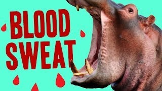 Animal Facts That Will Make You Feel Weird [upl. by Crin]