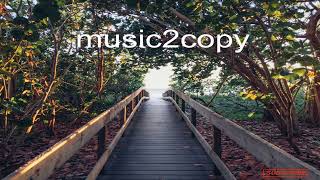 Music  FREE  no copyright music Lizenzfreie Musik  KOSTENLOS  no copyright musicmusic2copy [upl. by Saibot]