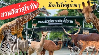 สวนสัตว์สุโขทัย มีอะไรให้ดูบ้าง   Sukhothai Airport Zoo สวนสัตว์ สนามบินสุโขทัย ที่เที่ยวสุโขทัย [upl. by Hamian]