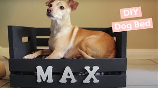 DIY Dog Bed for small dogs [upl. by Orlanta376]