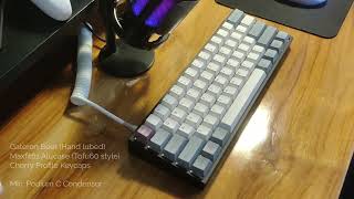 Gateron Beer Lubed Sound Test  Maxfit61 Alucase Tofu60 Style [upl. by Sajovich]