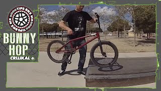 COMO HACER BUNNY HOP  COMO SALTAR EN BMX  BMX PARA PRINCIPIANTES [upl. by Melesa]